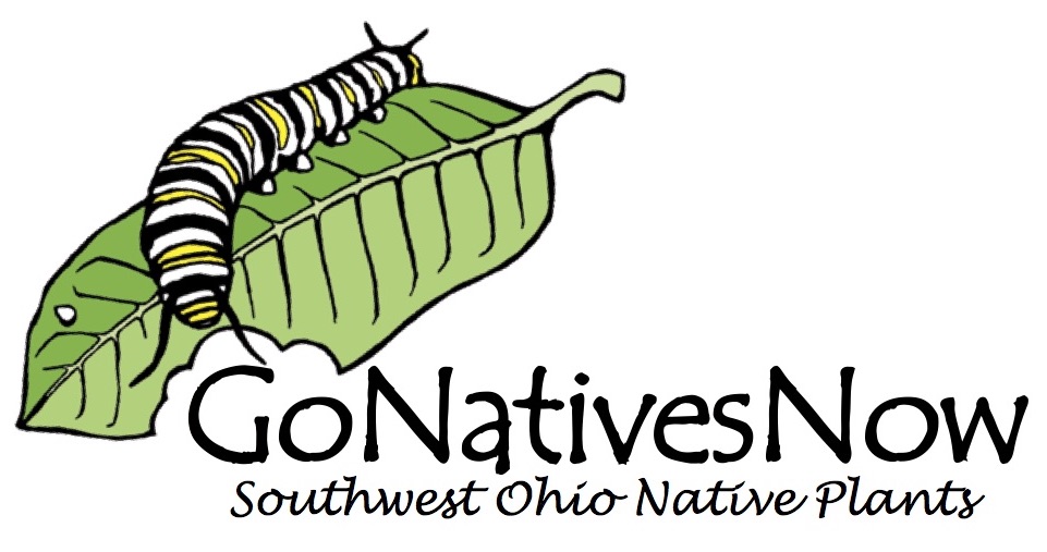 Native plants logo with monarch cat eating milkweed